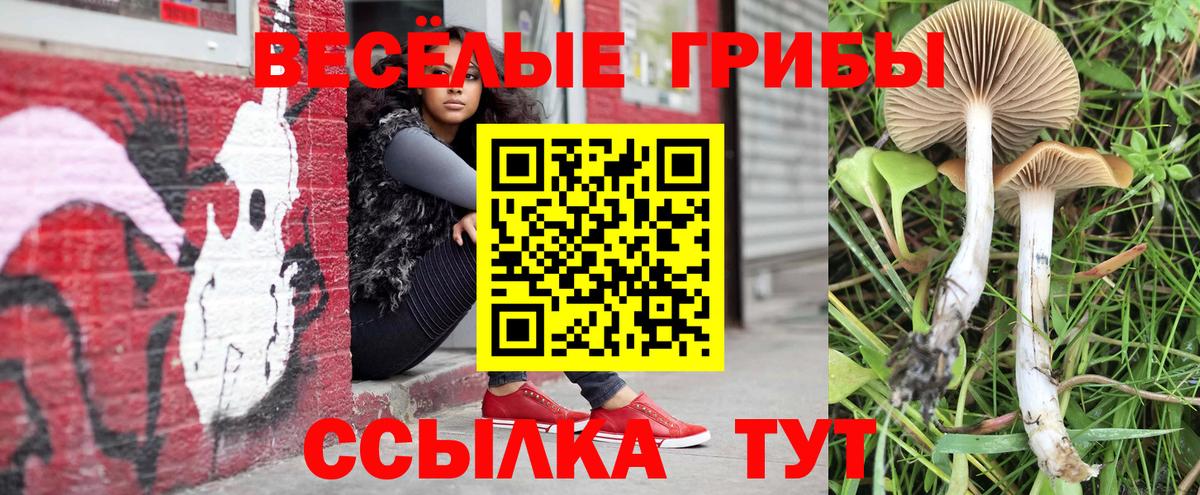 Иваново  Галлюциногенные грибы Psilocybine cubensis  Псилоцибиновые грибы прущие грибы  Вход с VPN 